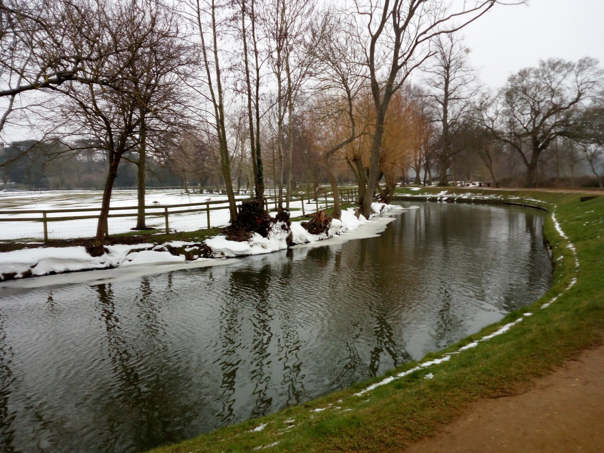 Christ Church Meadow - Oxford