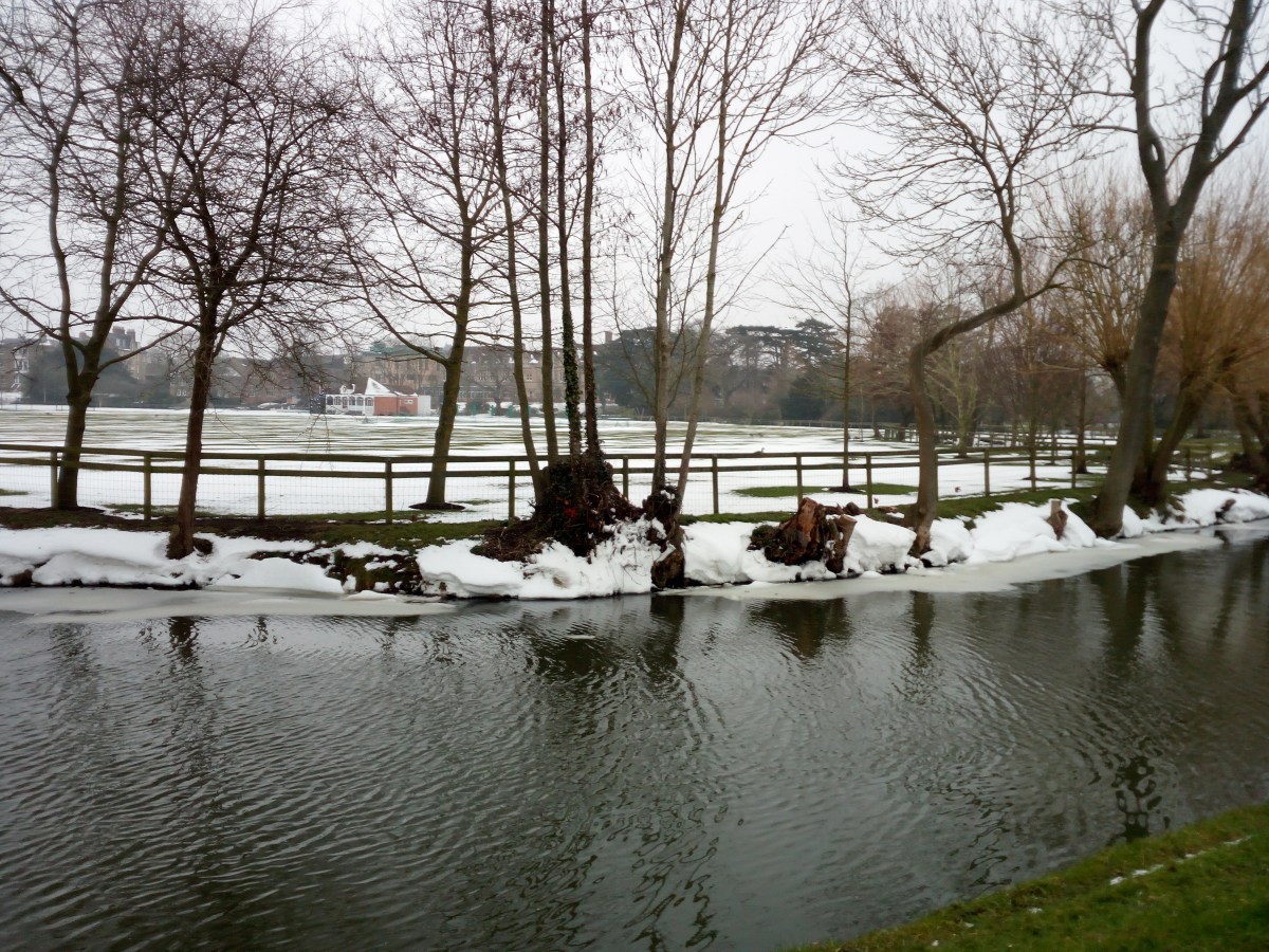 Christ Church Meadow - Oxford