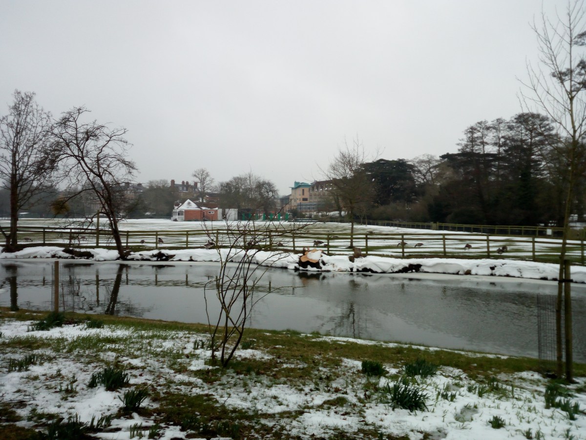 Christ Church Meadow - Oxford