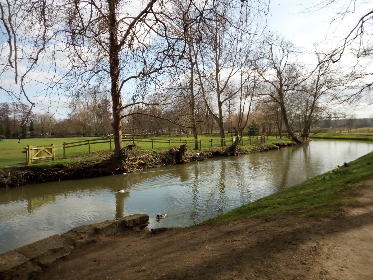 Christ Church Meadow - Oxford