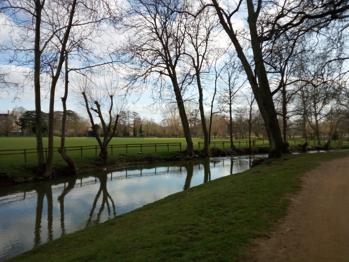 Christ Church Meadow - Oxford
