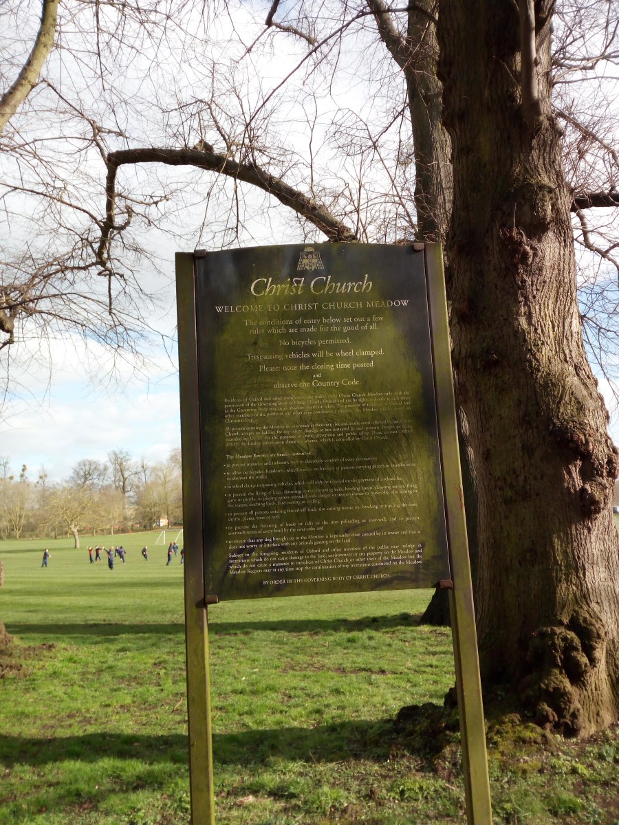 Christ Church Meadow - Oxford