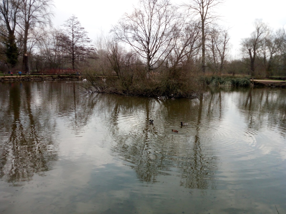 University Parks - Oxford