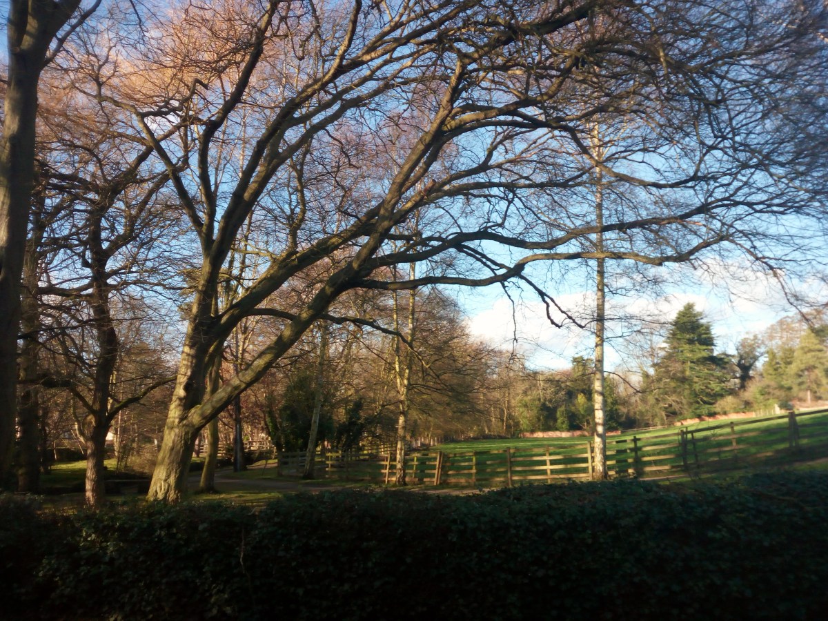 Anne Hathaway's Cottage - Stratford-Upon-Avon