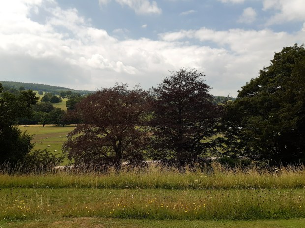 Garden at Chatsworth House